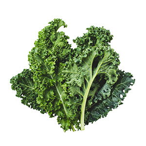 Fresh green kale leaves